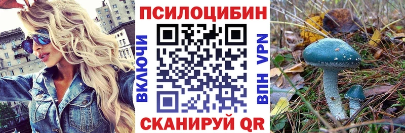 Купить где  Холм  Псилоцибиновые грибы мухоморы 